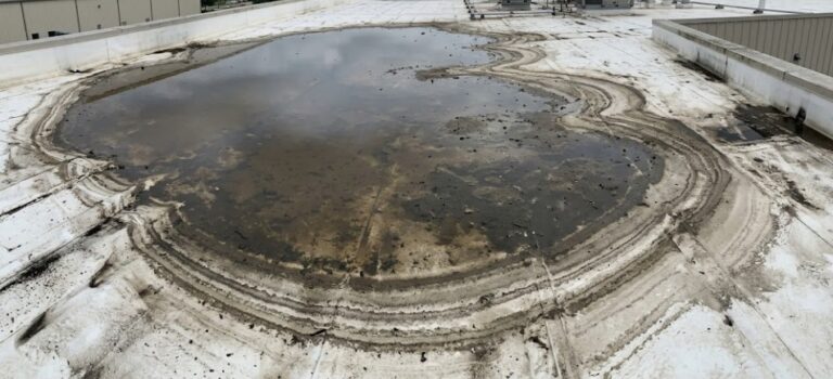 Large ponding water area on a commercial TPO roof with visible dirt rings